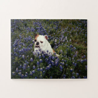 Bulldog anglais au Texas Bluebonnets Puzzle
