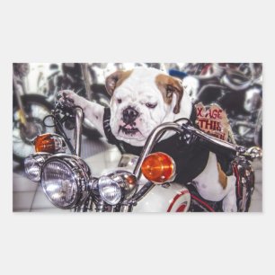 Bulldog auf Motorrad Rechteckiger Aufkleber