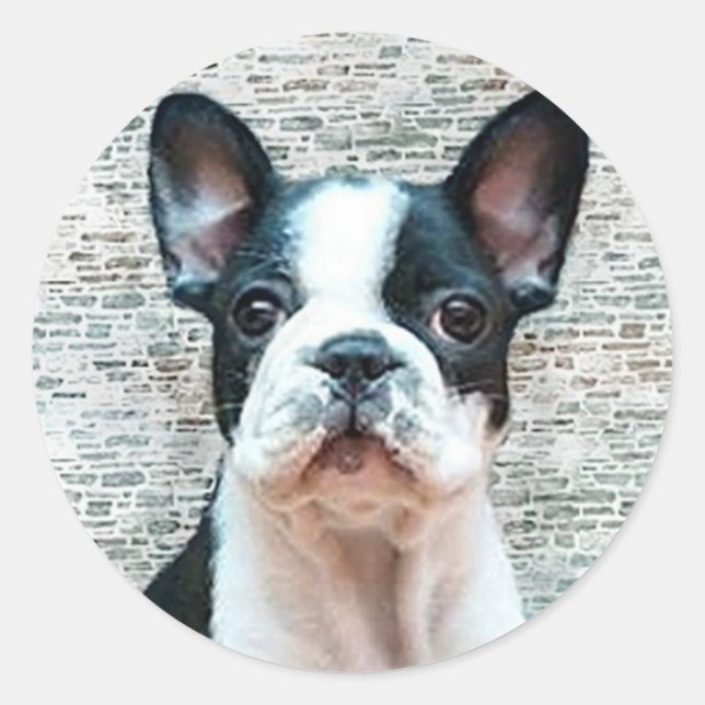 Bulldog-Aufkleber Runder Aufkleber (Vorderseite)