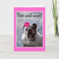 Bulldog bekommt bald eine gute Grußkarte