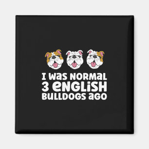 Bulldog Besitzer ich war normal 3 englische Bulldo Magnet