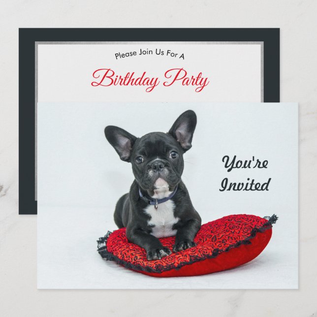 Bulldog Black Pillow Foto Geburtstag Einladung (Vorne/Hinten)
