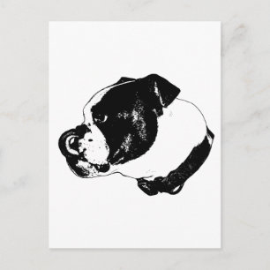 Bulldog Bold Postkarte
