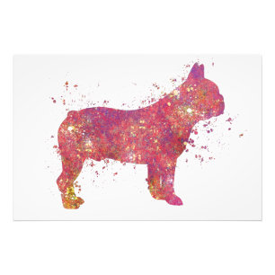 Bulldog Bouledogue Français Animal Chien Domestiqu Fotodruck