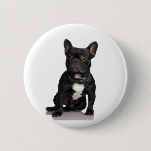 Bulldog Button
