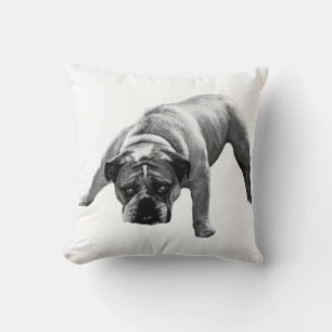Bulldog Calm Corner Kissen