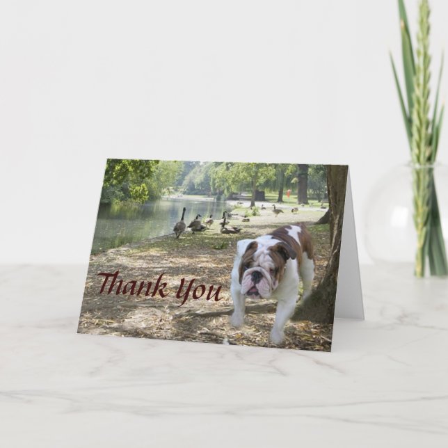 Bulldog Carte de remerciements (Devant)