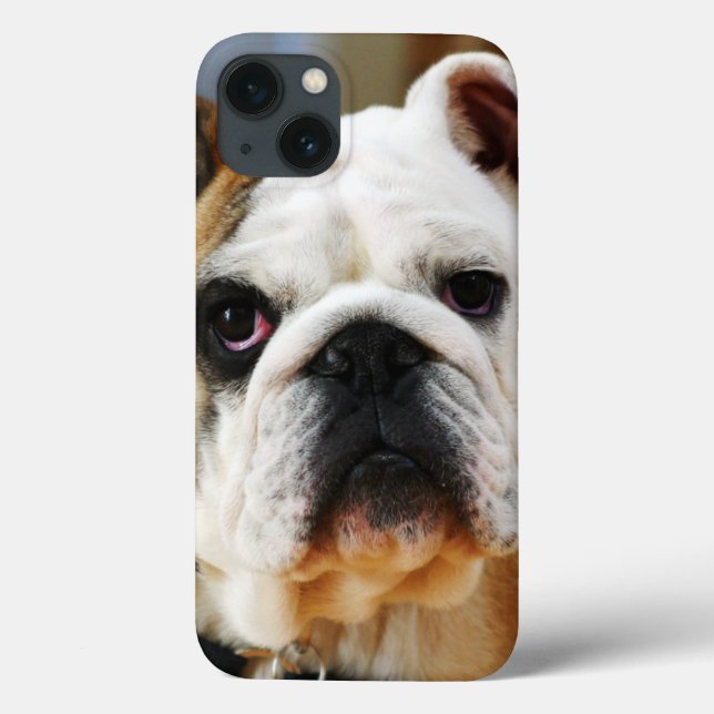 Bulldog Case-Mate iPhone Hülle (Rückseite)