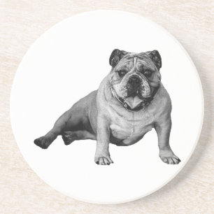Bulldog Entspannungsmoment Getränkeuntersetzer