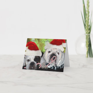 Bulldog Feiertagskarte