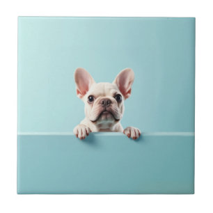 Bulldog Fliese