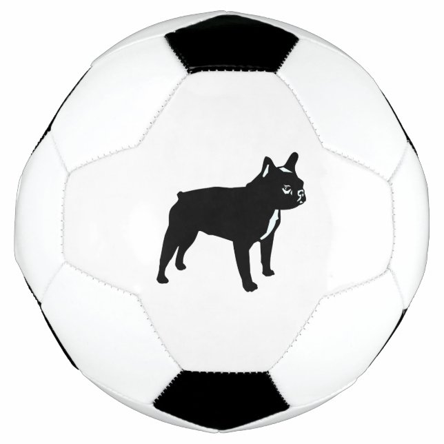 Bulldog Fußball (Vorderseite)