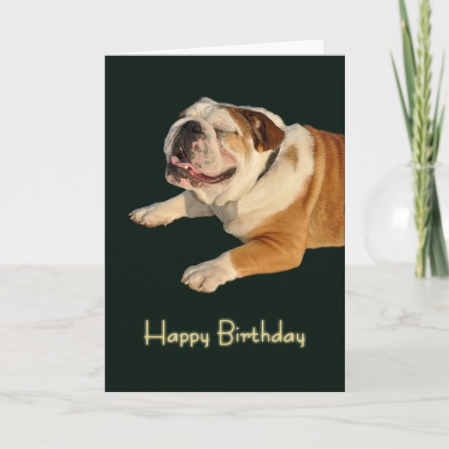 Bulldog Geburtstagskarte lächeln Karte (Vorderseite)