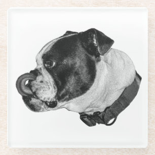 Bulldog Gentle Tischschutz Glasuntersetzer