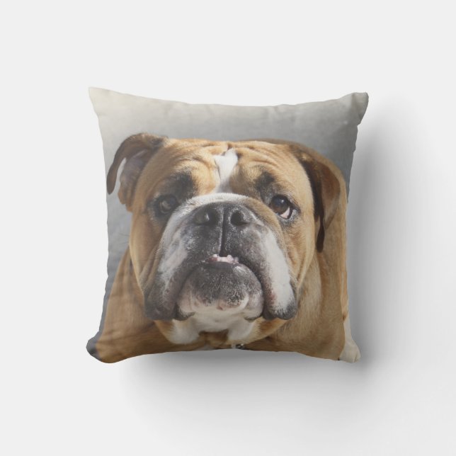 Bulldog-Gesicht - English Bulldog, Brown Kissen (Vorderseite)