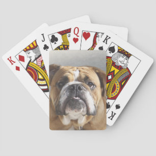 Bulldog-Gesicht - English Bulldog, Brown Spielkarten