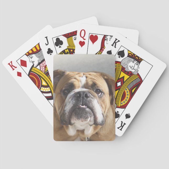 Bulldog-Gesicht - English Bulldog, Brown Spielkarten (Rückseite)