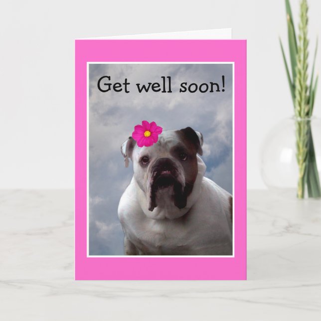 Bulldog Get Well Bientôt carte de voeux (Devant)