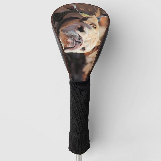 Bulldog Golf Headcover (Vorderseite)