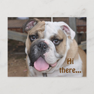 Bulldog "Hi da" Postkarte