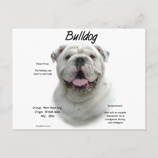Bulldog-History-Design Postkarte (Vorderseite)