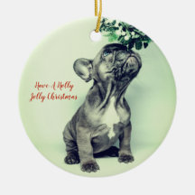 Bulldog Holly Jolly Christmas und Mistletoe