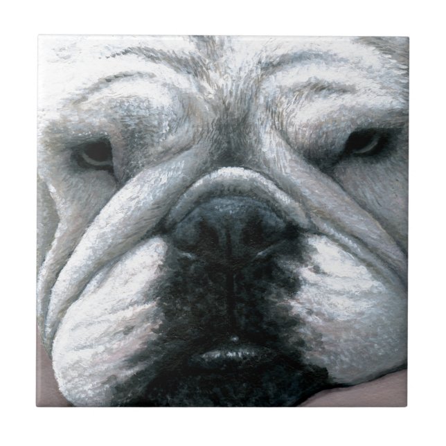 Bulldog-Hund 118 Fliese (Vorderseite)