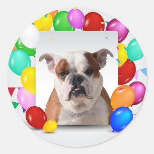 Bulldog Hund mit farbenfrohen Luftballons Geburtst Runder Aufkleber