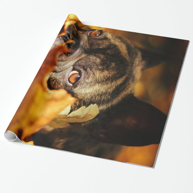 Bulldog Hund Niedlich English Bulldog Lover Gesche Geschenkpapier (Ungerollt)