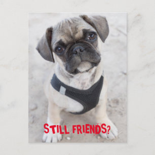 Bulldog-Hündchen sieht niedlich aus Postkarte