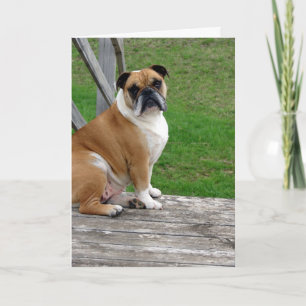 Bulldog, ich denke an dich karte
