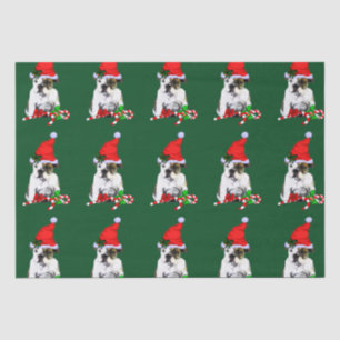 Bulldog in der Weihnachtsmannmütze Weihnachten Seidenpapier