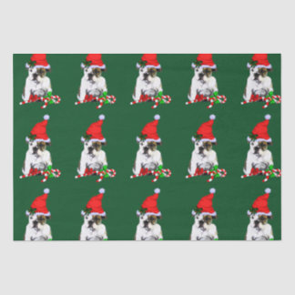 Bulldog in der Weihnachtsmannmütze Weihnachten Seidenpapier