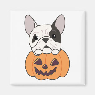 Bulldog in Pumpkin Niedliche Hunde glücklich Hallo Magnet