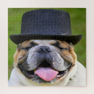 Bulldog in Top Hat