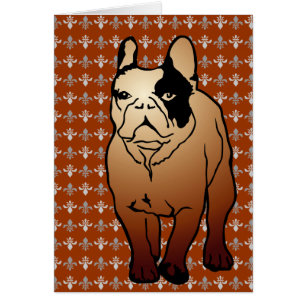 Bulldog-Karten