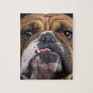 Bulldog-Kissen