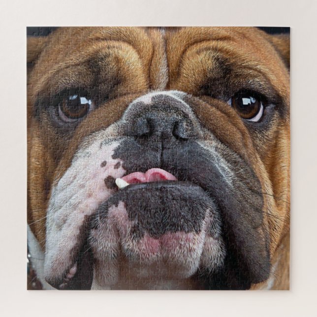 Bulldog-Kissen (Vertikal)