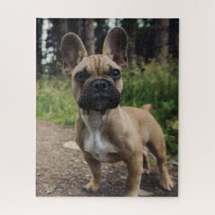 Bulldog-Kissen
