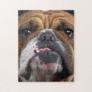 Bulldog-Kissen