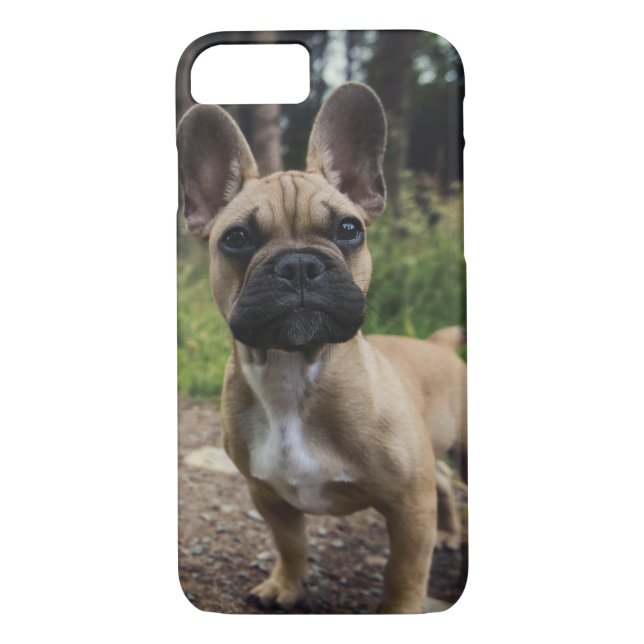 Bulldog-Kissen Case-Mate iPhone Hülle (Rückseite)