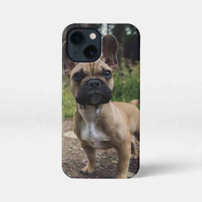Bulldog-Kissen iPhone 13 Mini Hülle (Rückseite)