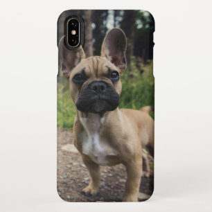 Bulldog-Kissen iPhone Hülle