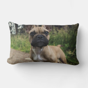 Bulldog-Kissen Lendenkissen