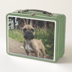Bulldog-Kissen Metall Brotdose