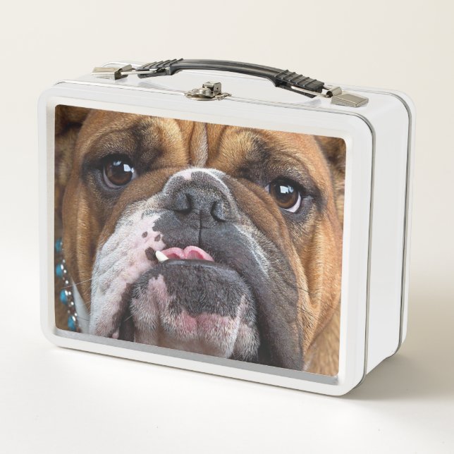 Bulldog-Kissen Metall Brotdose (Vorderseite)