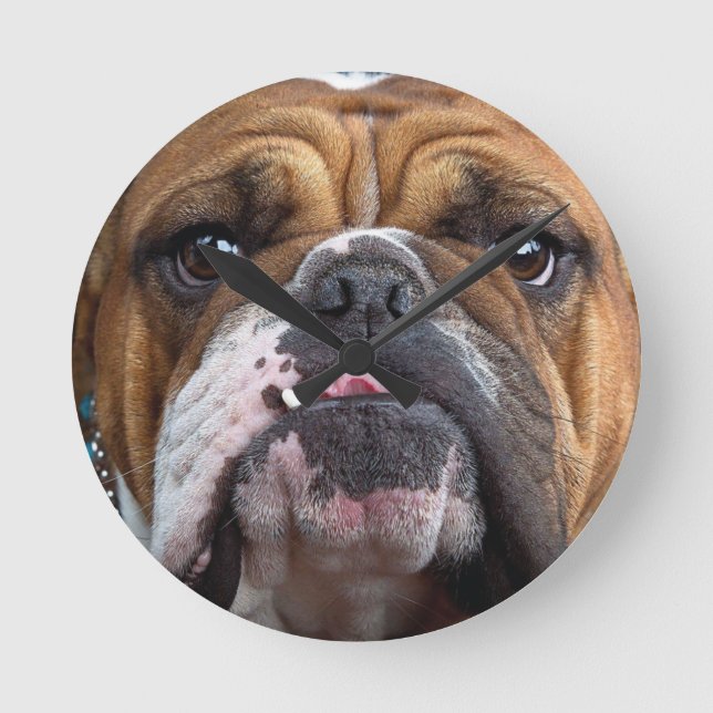 Bulldog-Kissen Runde Wanduhr (Vorderseite)