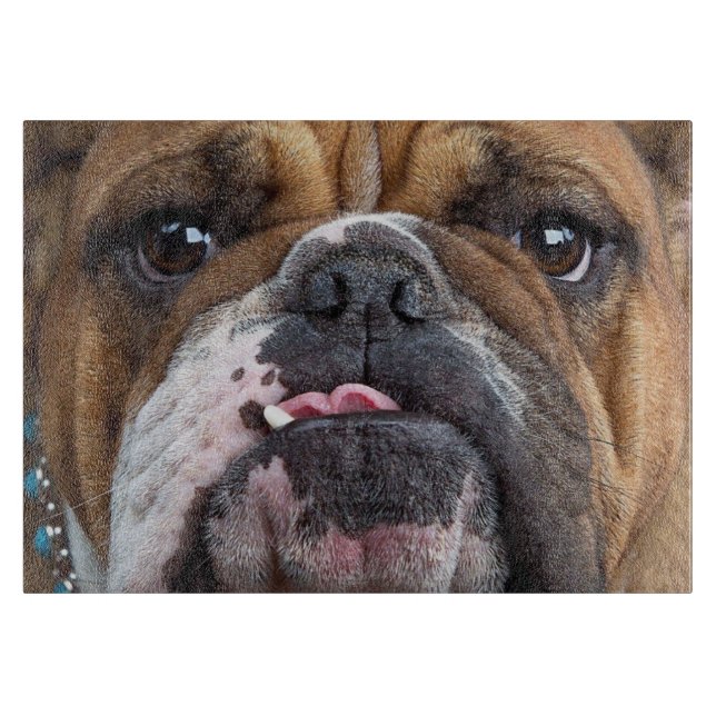 Bulldog-Kissen Schneidebrett (Vorderseite)