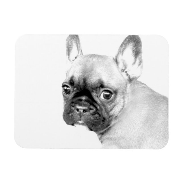 Bulldog Magnet (Horizontal)