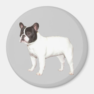 Bulldog Magnet